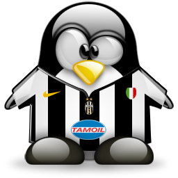 penguin pingouin pinguino 753